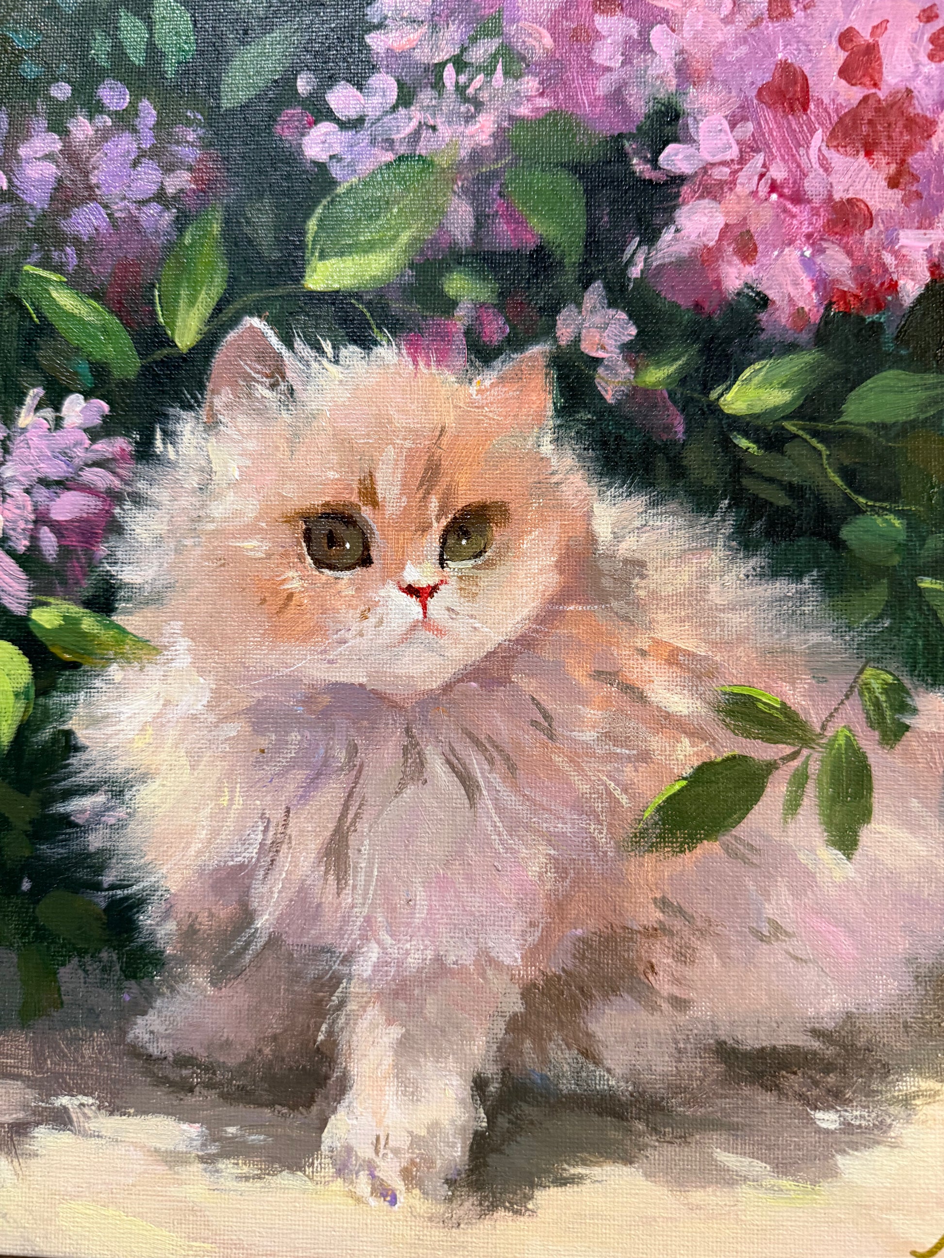Fluffy in Bloom