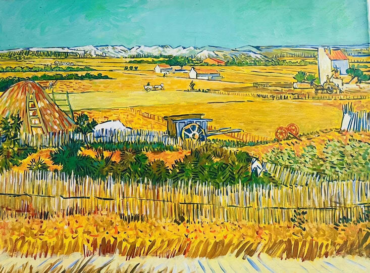 Golden Fields in Summer Light