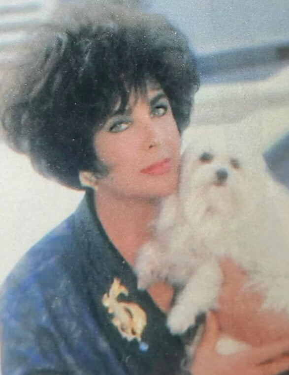 Elizabeth Taylor for AVON Vintage Pisces Brooch